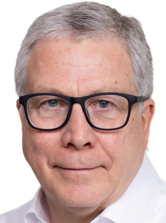 41. Calculations of excited electronic states using saddle point searches